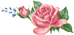 pinkrosecluster1.gif (8718 bytes)