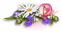 litepinkflower.gif (12071 bytes)