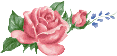 pinkrosecluster1.gif (8718 bytes)