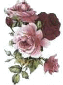 rose2.gif (15750 bytes)