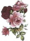 rose2.gif (15750 bytes)